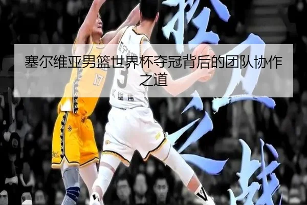 塞尔维亚男篮世界杯夺冠背后的团队协作之道