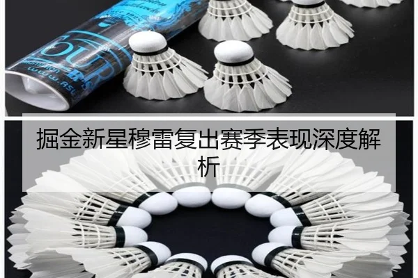 掘金新星穆雷复出赛季表现深度解析